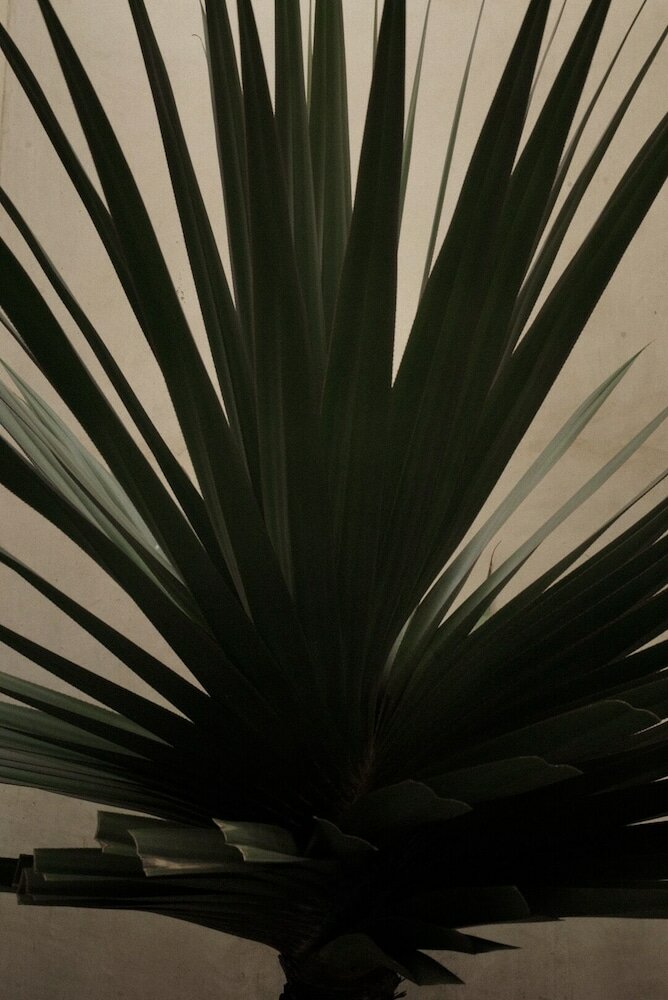 Фото Casa Carmen Reforma