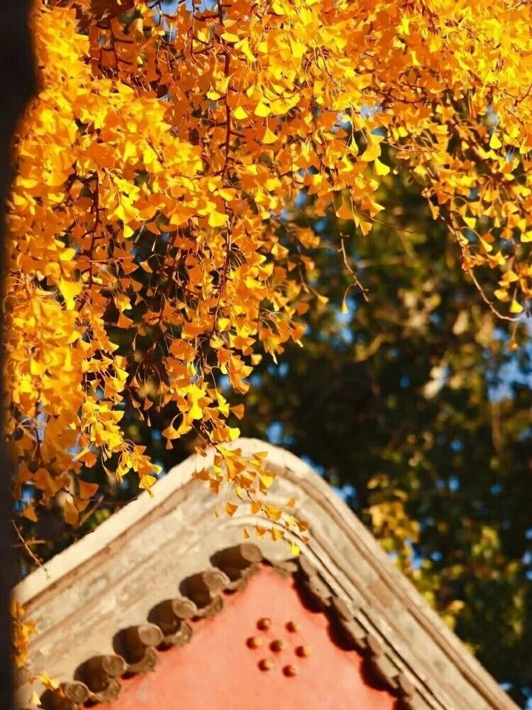 Фото East Sacred Hotel