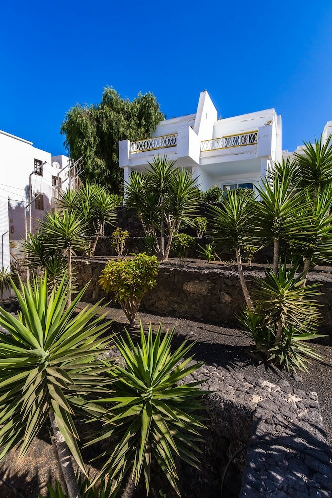 Фото 108354321398