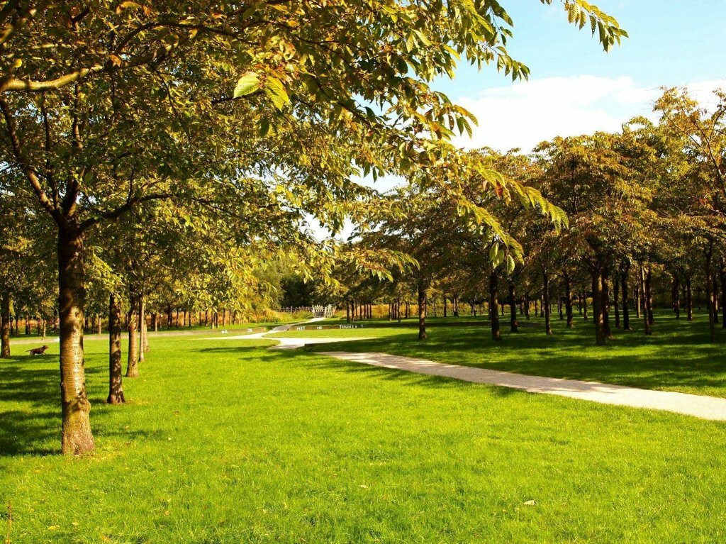 Фото Station Amstelveen Bed and Breakfast