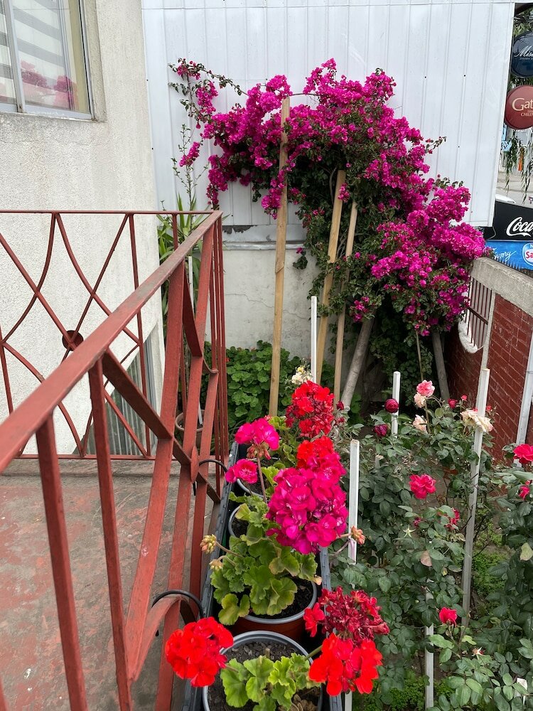 Фото Hostal Mi Segundo Hogar