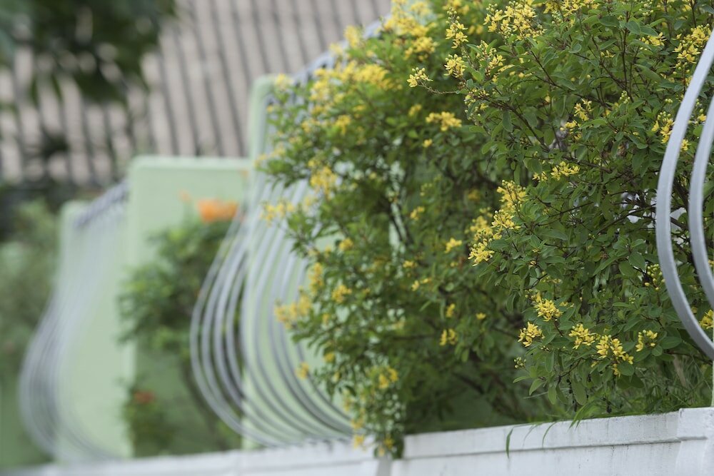 Фото Queen's Hotel