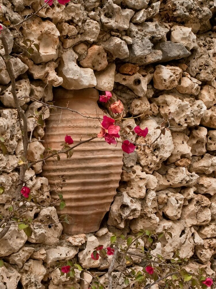 Фото Zorbas Hotel