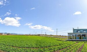 Гостиница Cocoreto The Guest House - Hostel