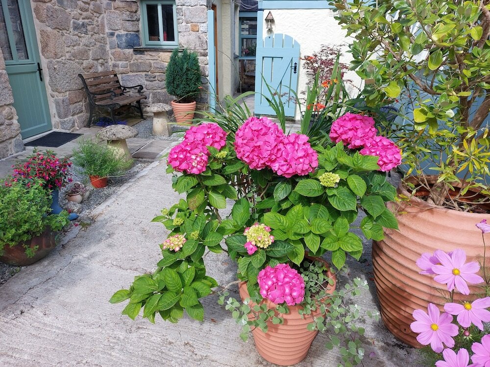 Фото Wesley House Holiday Cottages