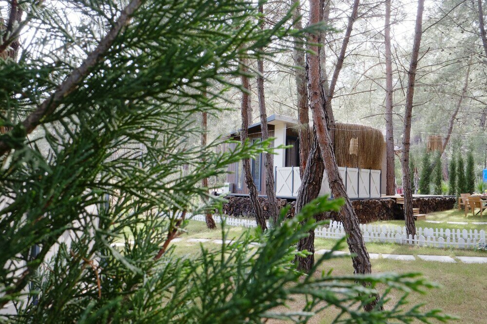 Фото Mossa Afkule