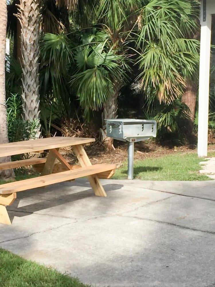 Фото 707 Silverside