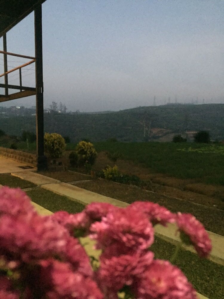 Фото The Cozy castle