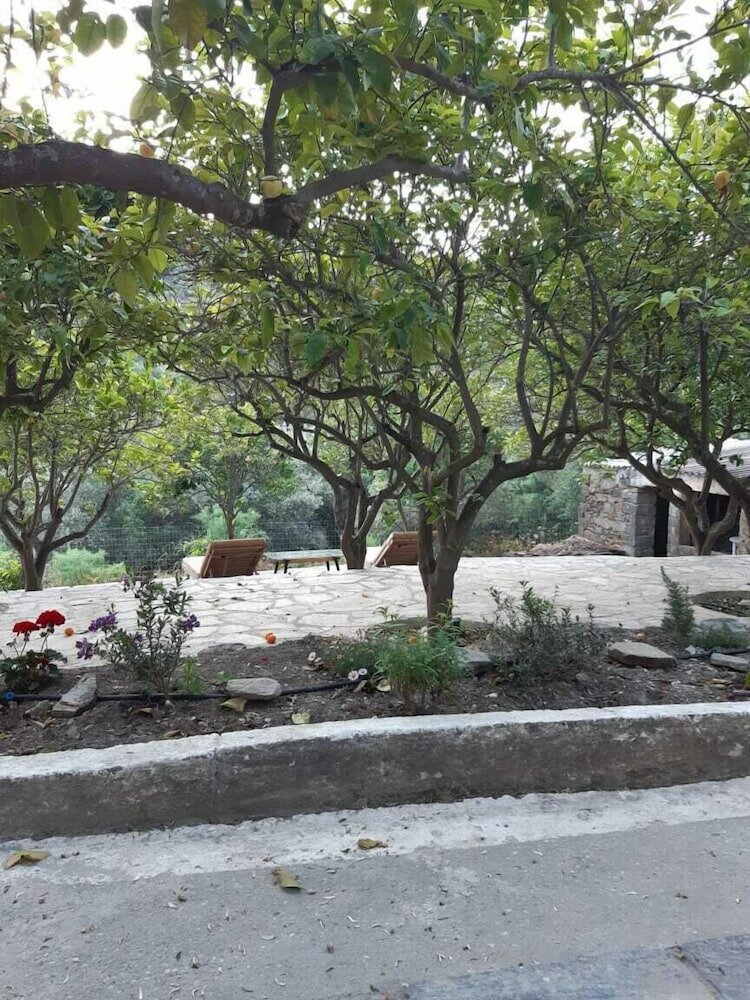 Фото Diamoni Afroditi