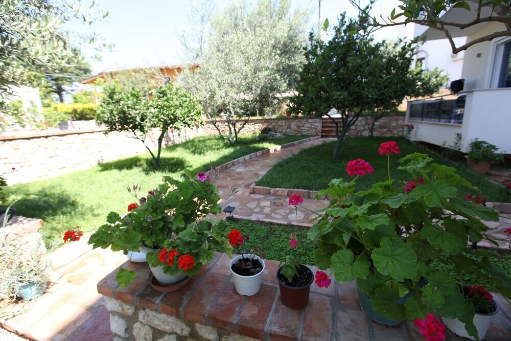 Фото Hotel Golden