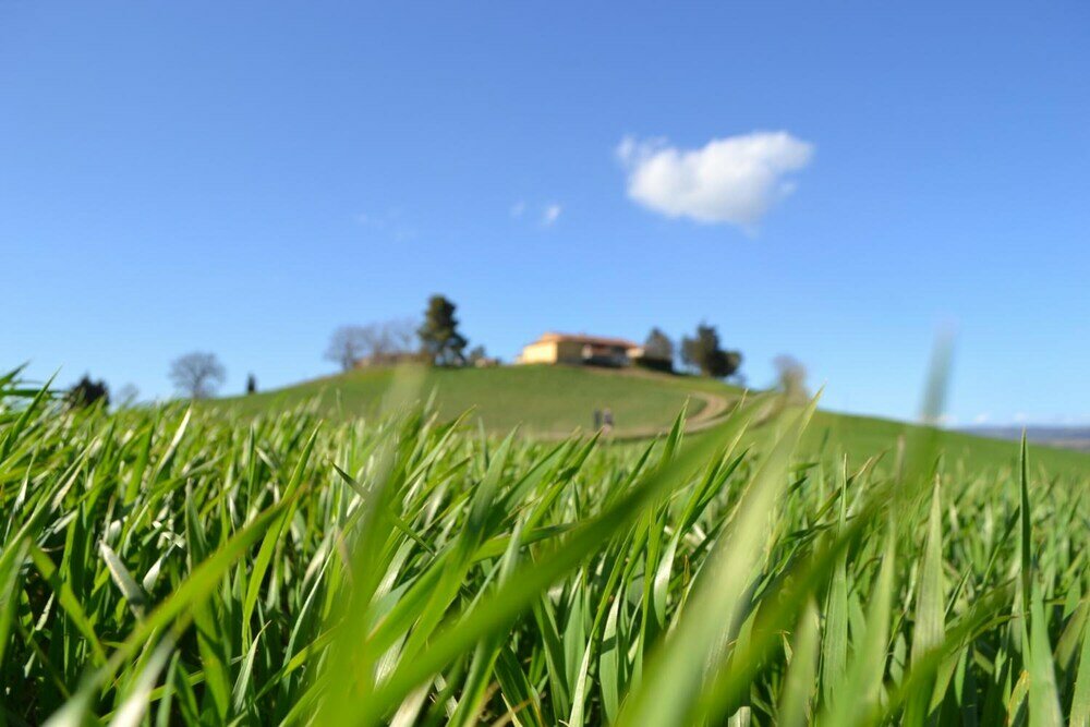 Фото Poggio alla Pietra 26