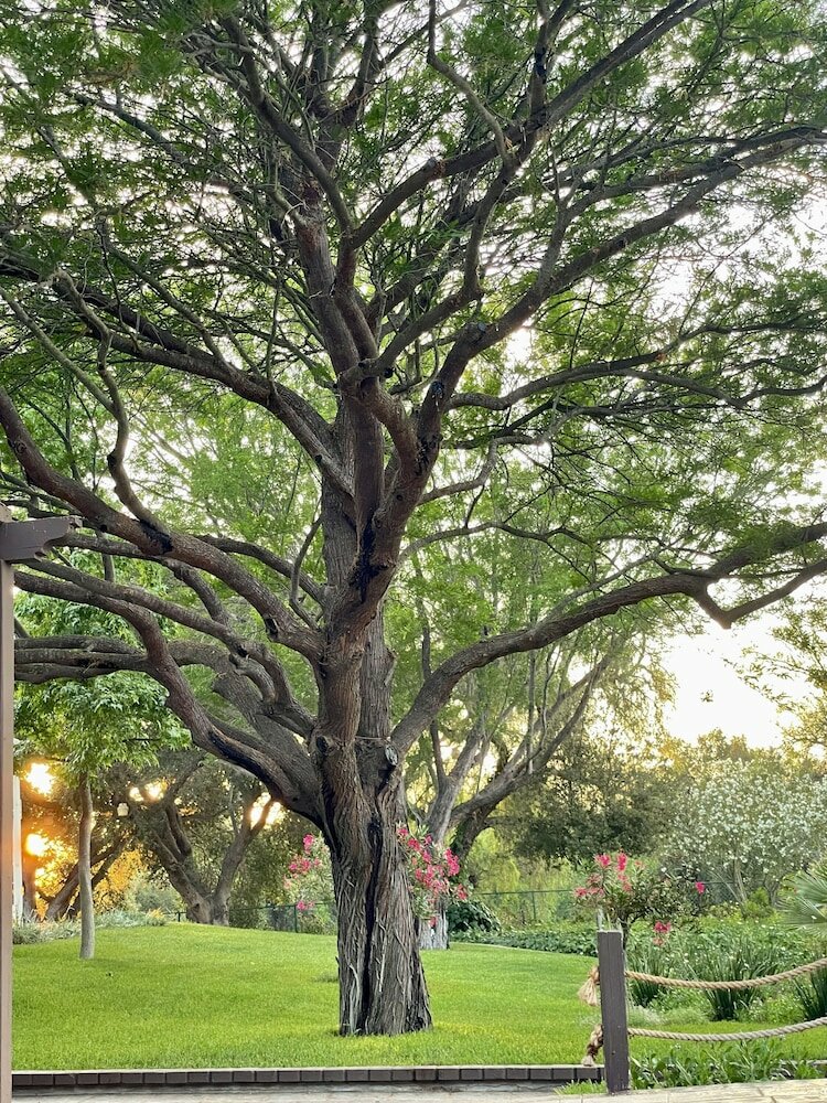 Фото Quinta Arratz