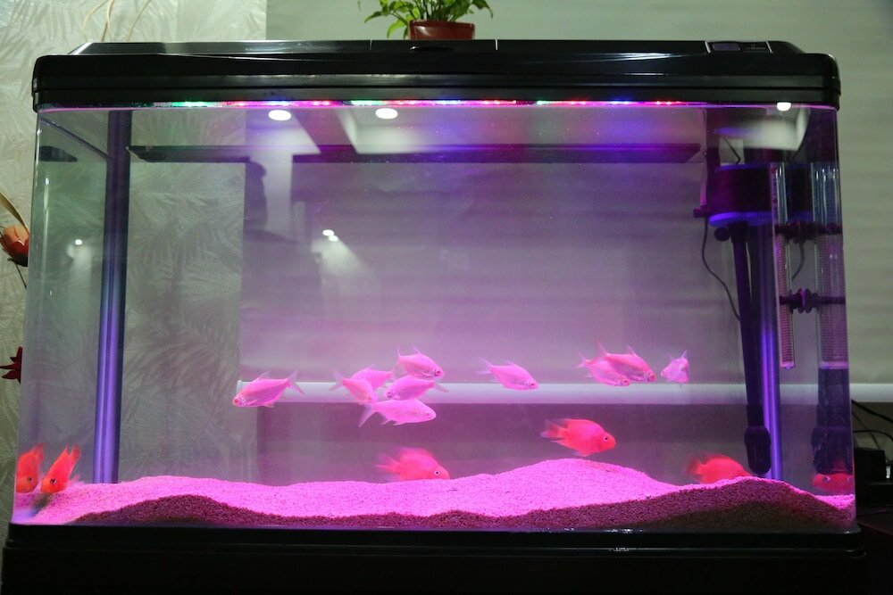 Фото Hotel Bangalore Airport Inn