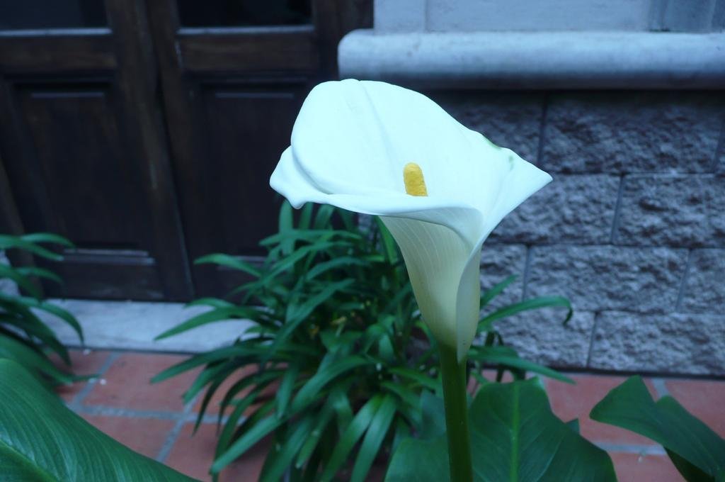 Фото Posada Gotan