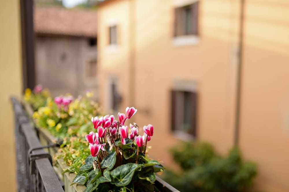 Фото Romeo Giulietta Rooms Apartments Turkish Bath