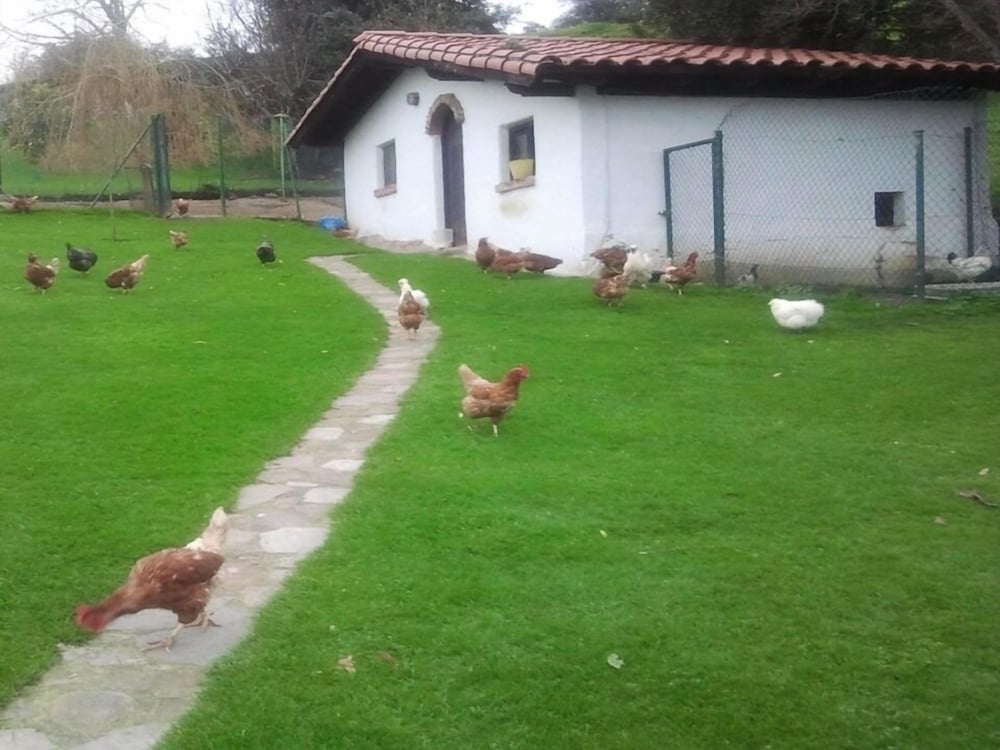 Фото Casas Rurales El Terrero