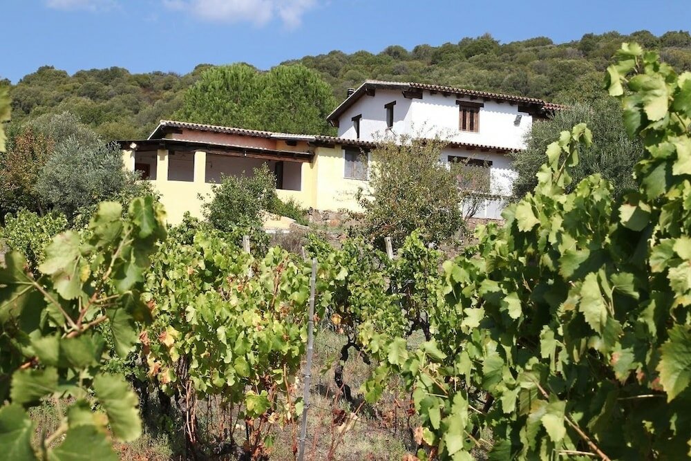 Фото Agriturismo B&b Sa Inza