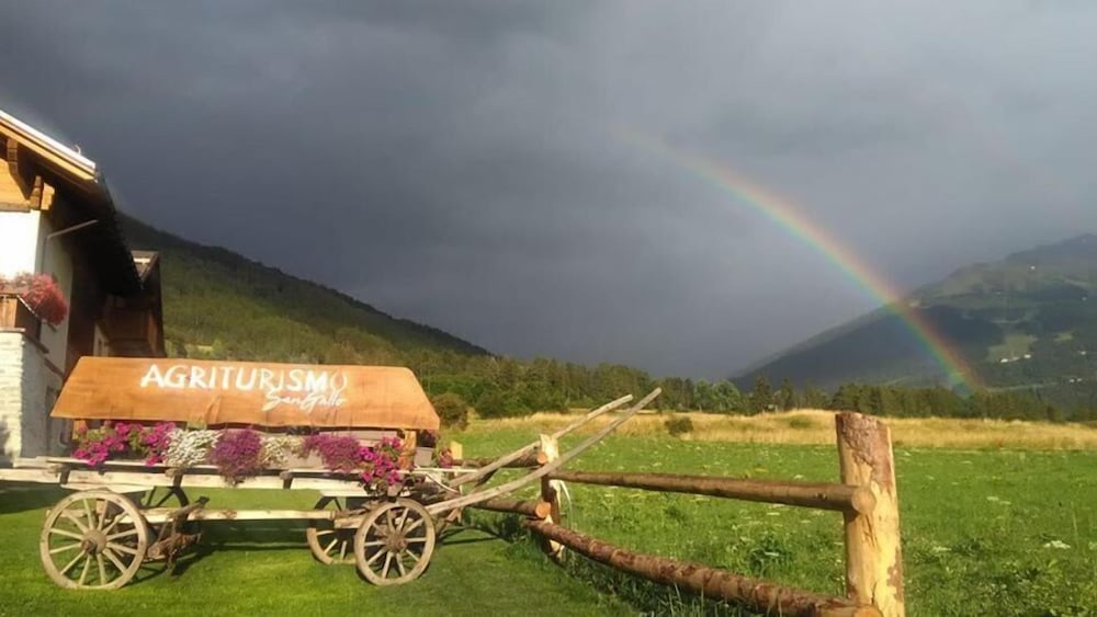 Фото Agriturismo San Gallo