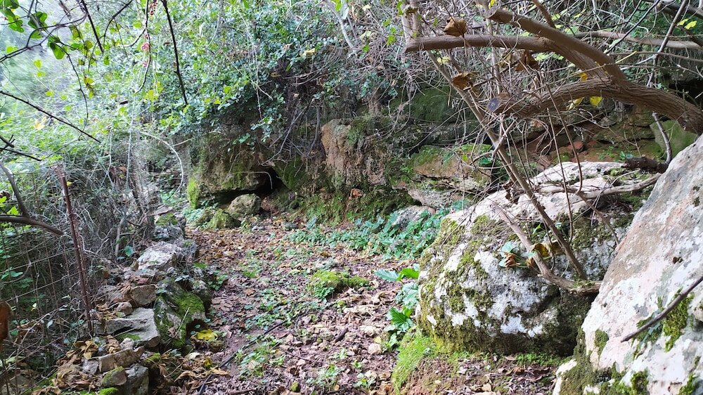 Фото Villa Kastania