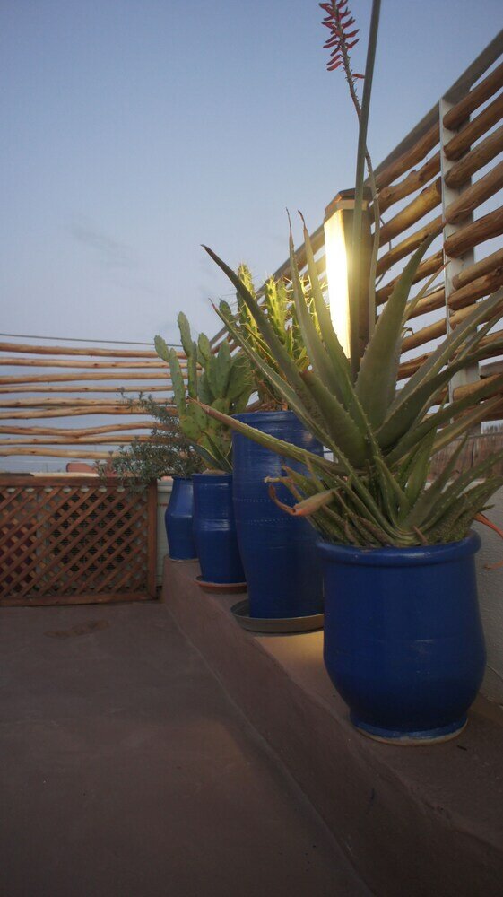 Фото Riad Alqimam