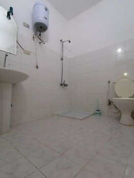 Фото Pharaonic Rose