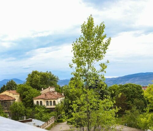 Гостиница Edeas Apartment Korce Albania в Корче