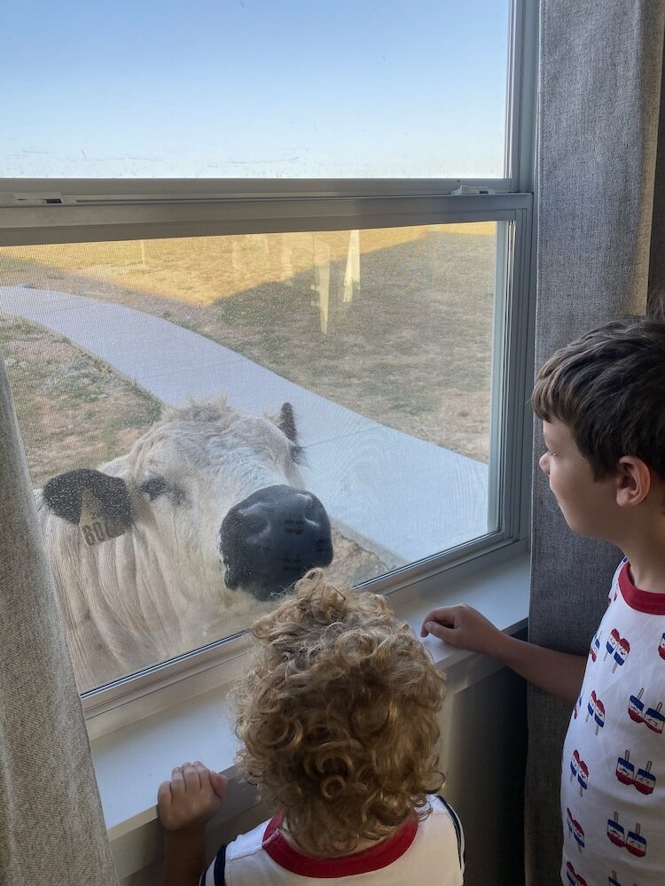 Фото Blue Hills Ranch