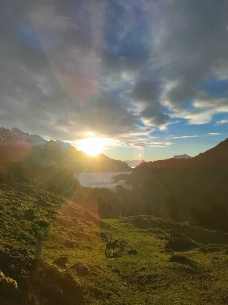 Фото Kunst- und Naturfreundehaus Brünig