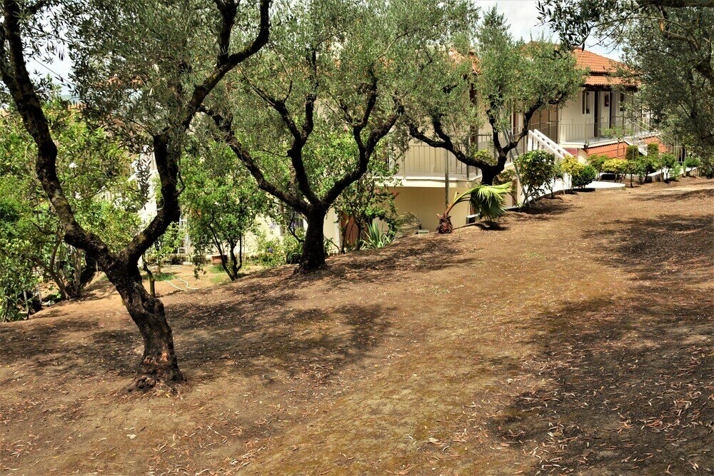 Фото Petros Giatras - Rooms