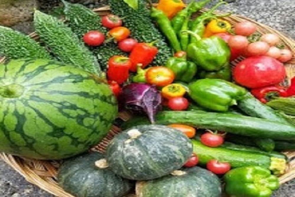 Фото Kongoji Syukubo Seihoin