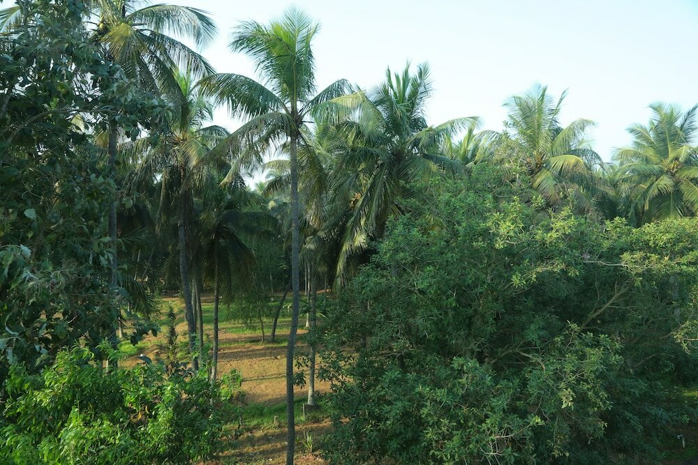 Фото Misty Ocean-A Bergamont Group of Hotels