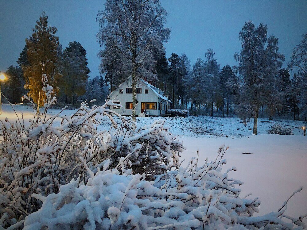 Фото Vildmarks Lodge