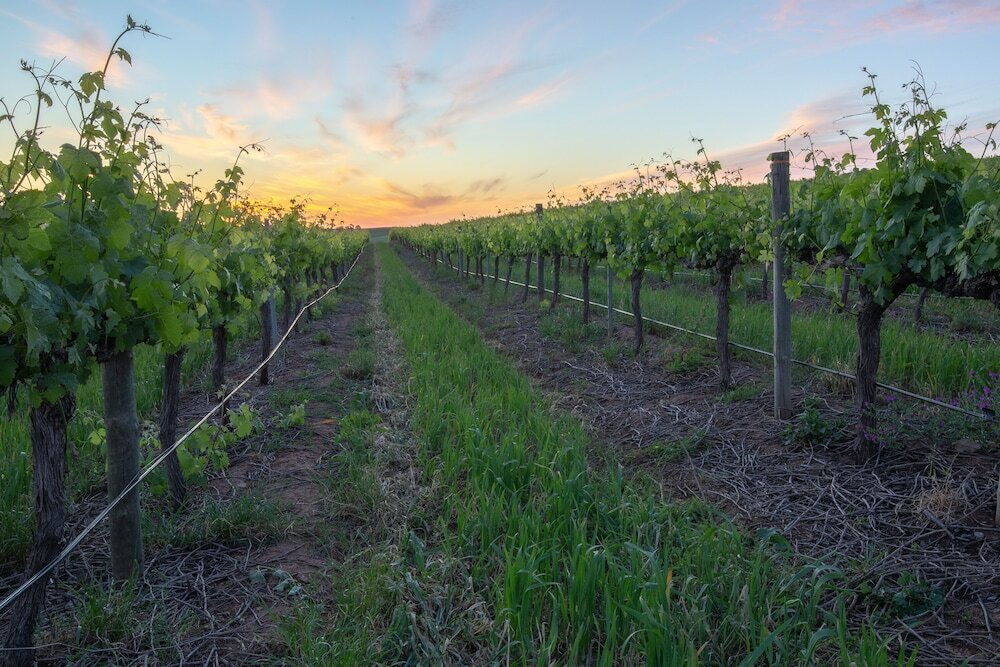 Фото 1837 Barossa Luxury Cottages Lyndoch Sa