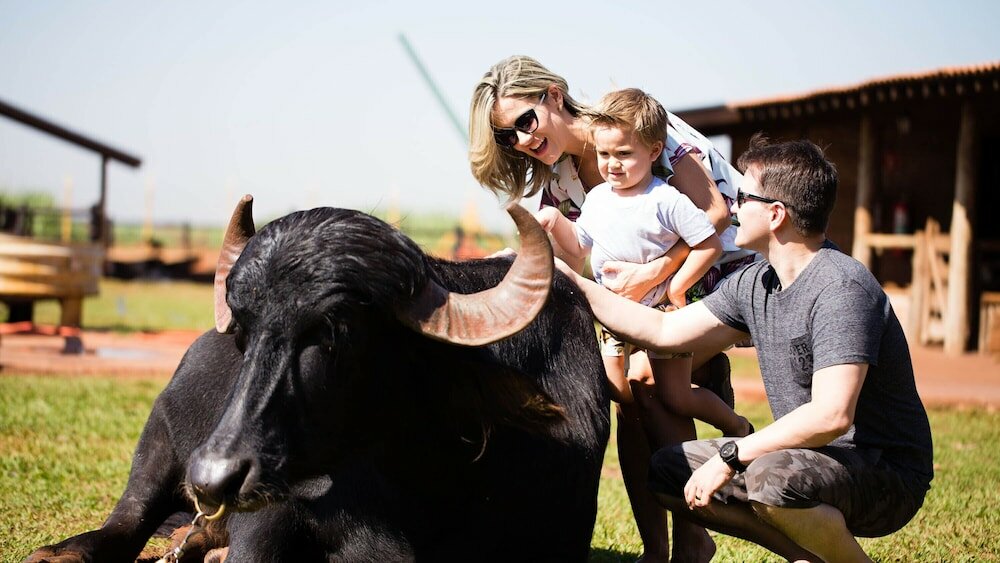 Фото Barretos Country Resort