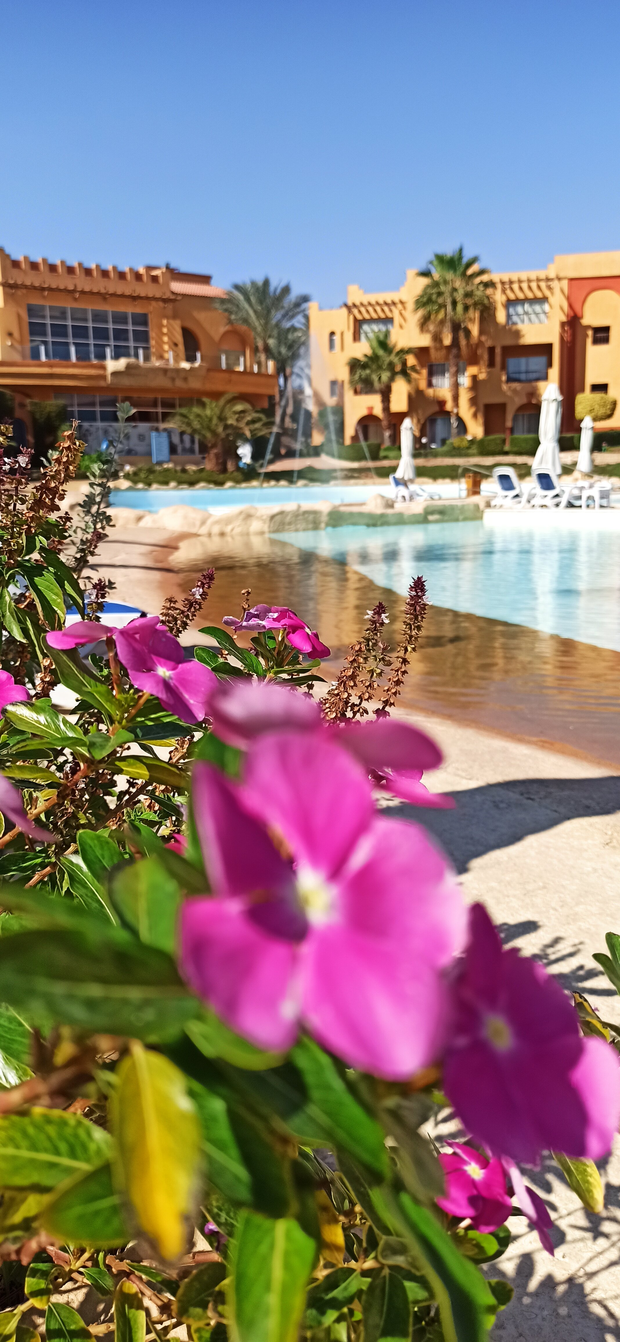 Фото Rehana Royal Beach Resort - Aquapark & SPA