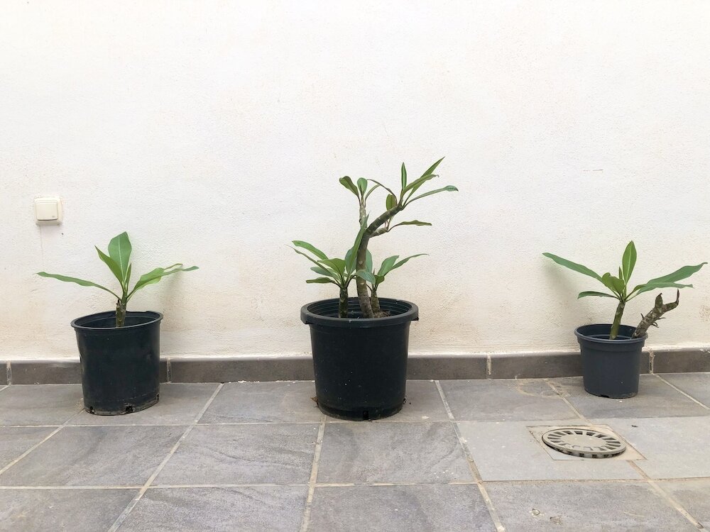 Фото Varela Apartamentos B