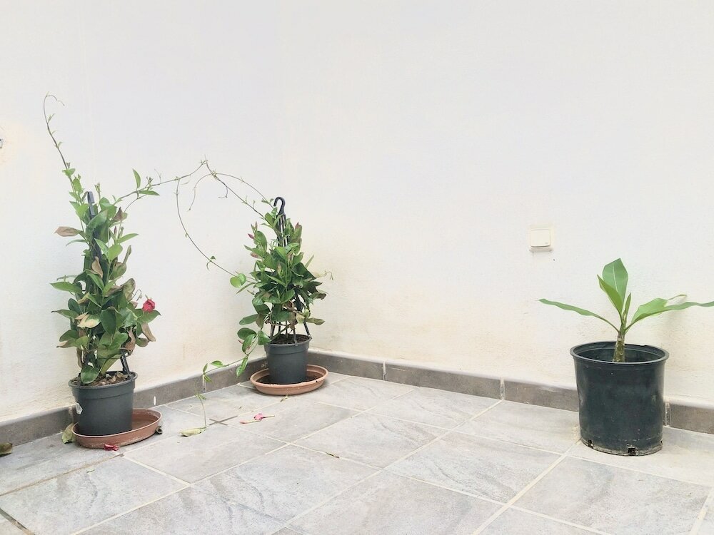 Фото Varela Apartamentos B