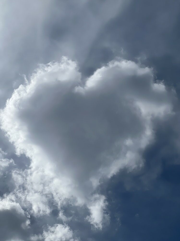 Фото Бахмаро