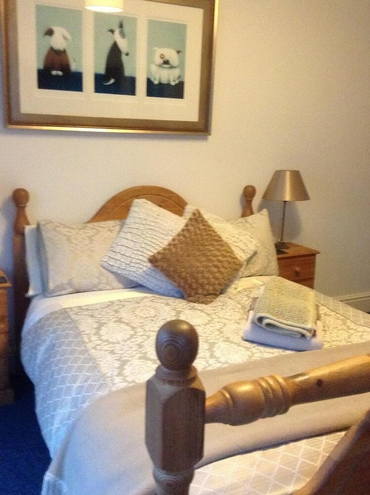 Фото The Olive Branch