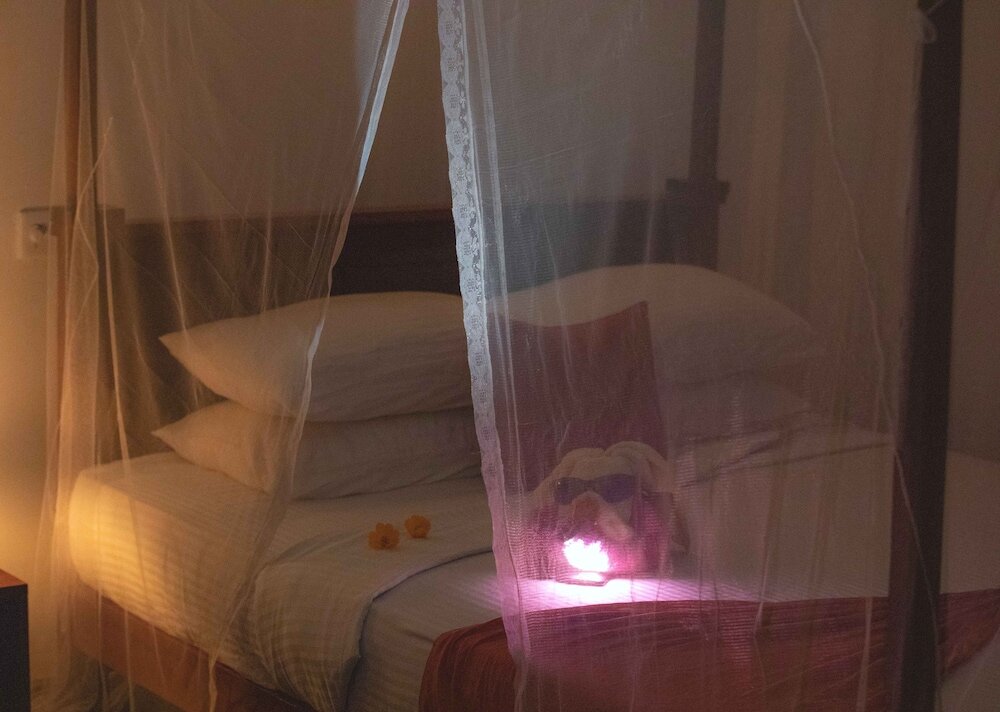 Фото Silver Dome