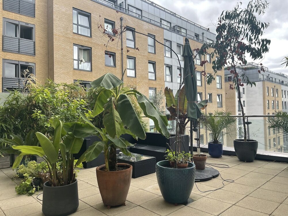 Фото Chelsea Pad by condokeeper