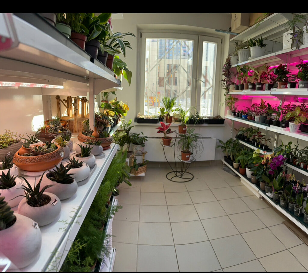 Flower shop Palma, Balashiha, photo