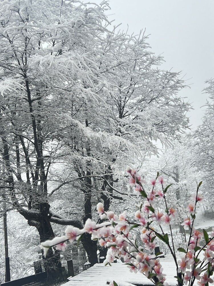Фото Calafate Lodge Patagonia