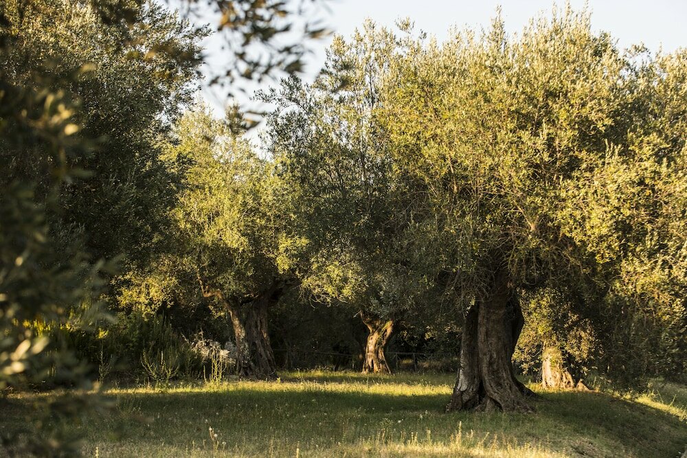 Фото Isola Polvese Resort