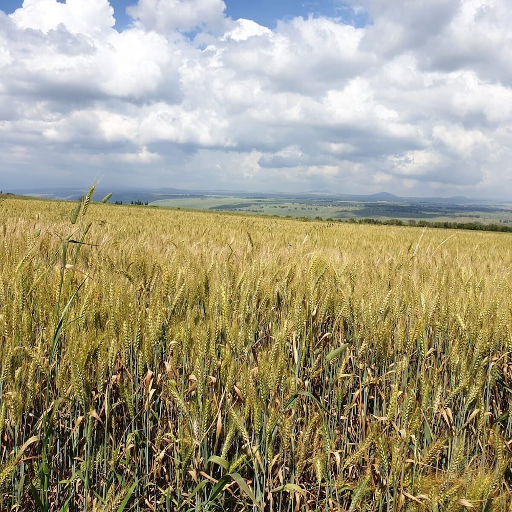 Фото Aloney HaBashan - Guest Village