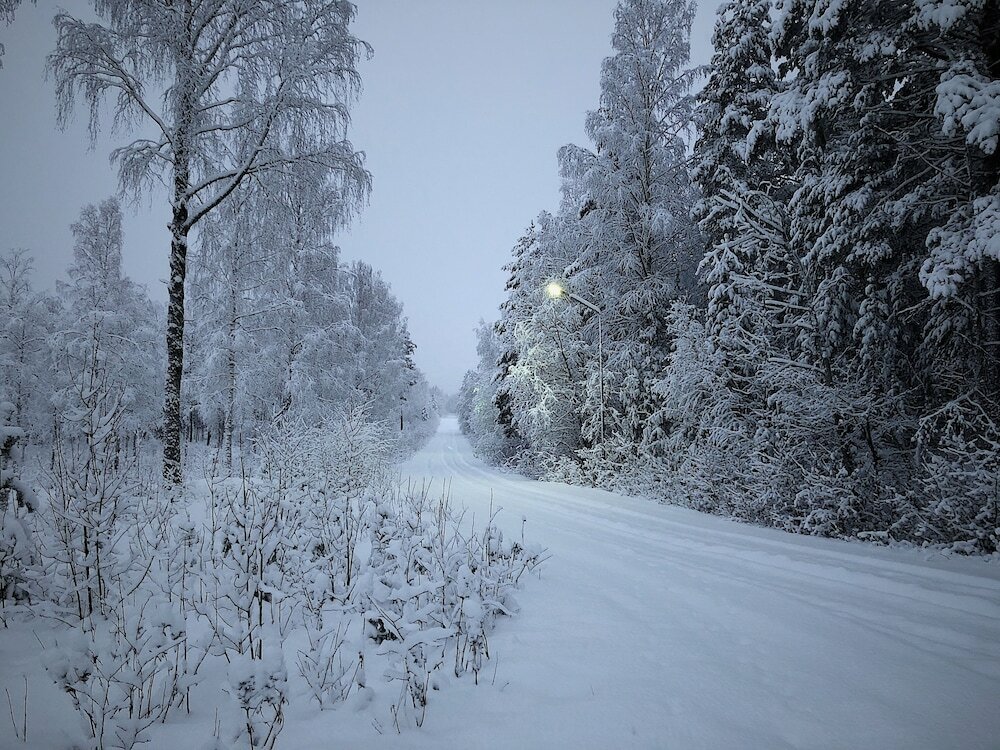 Фото Vildmarks Lodge