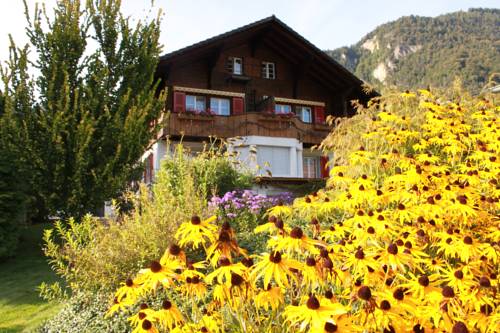 Фото Adventure Guesthouse Interlaken