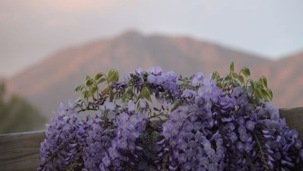 Фото Casa Del Mar Hotel