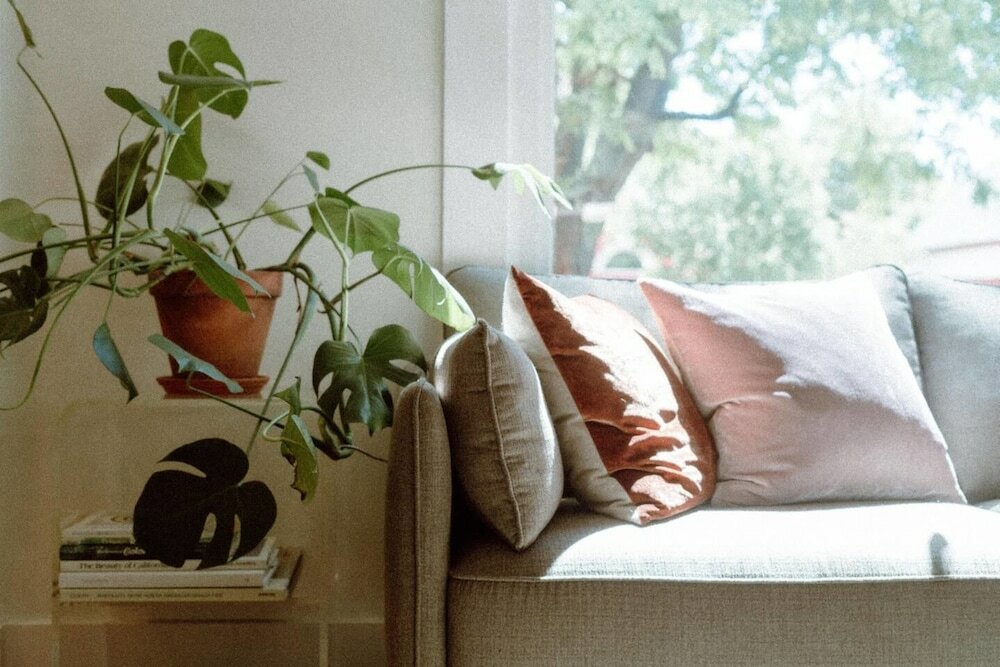 Фото The Enchanted Franklin