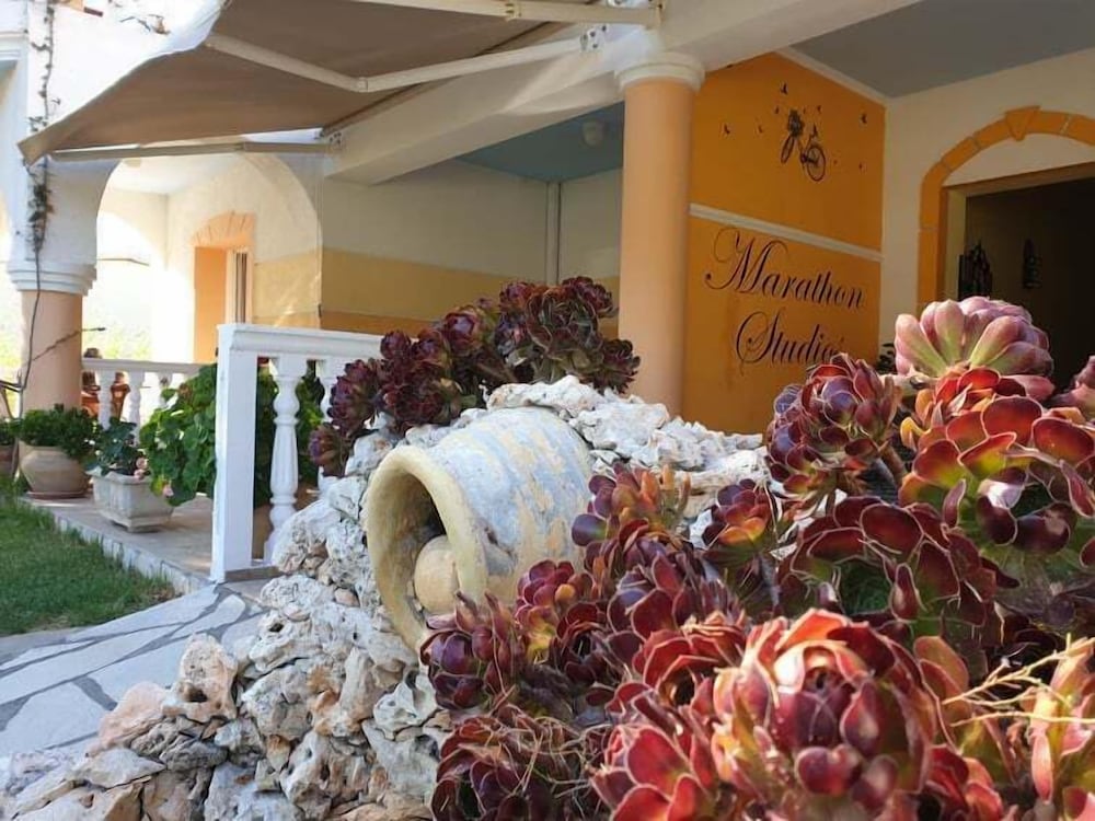 Фото Marathon Studios &Apartments